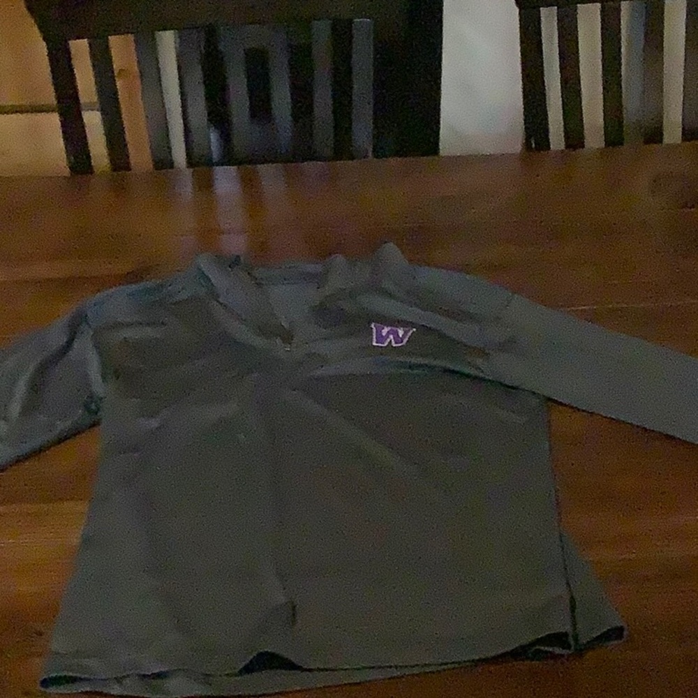 Gray Pullover with Purple Logo